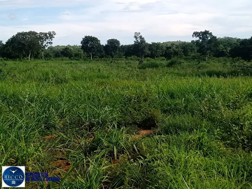 Foto 8 de Fazenda / Haras à venda, 50m2 em Porangatu - GO
