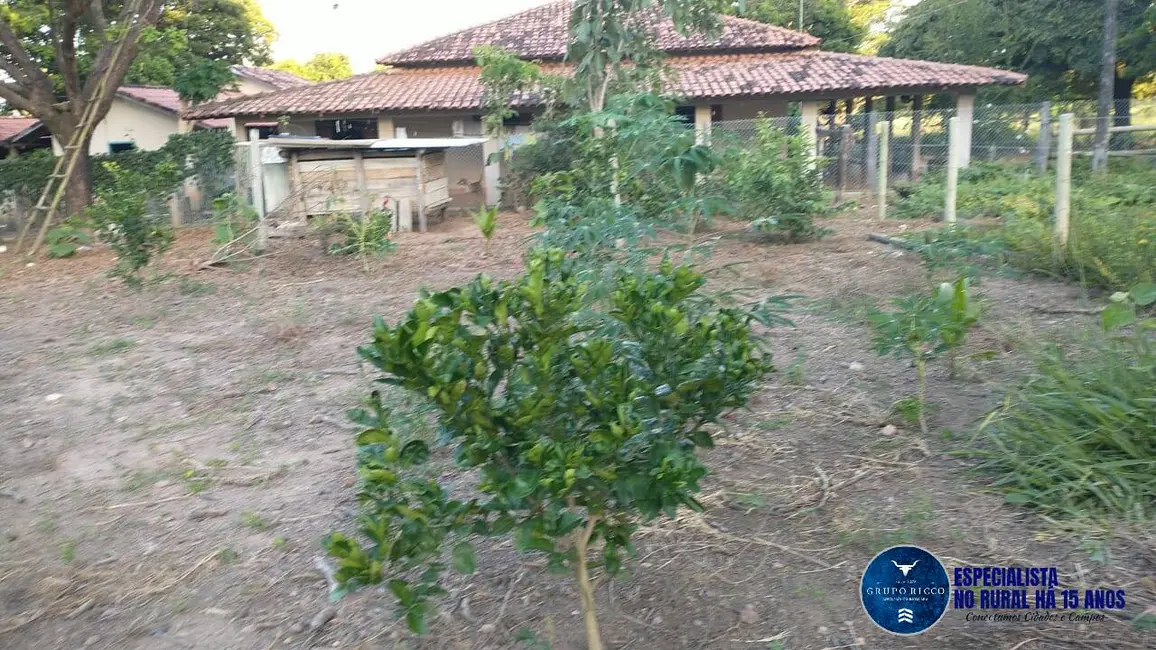 Foto 2 de Chácara à venda, 10m2 em Novo Brasil - GO