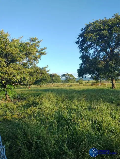 Foto 1 de Chácara à venda, 10m2 em Novo Brasil - GO