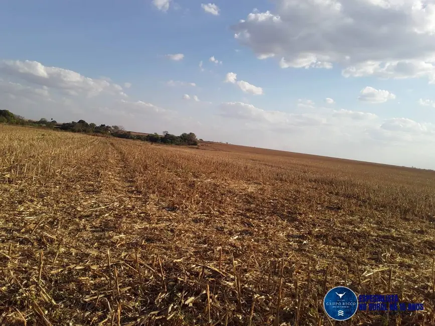Chácara à venda em Santa Helena De Goias - GO - imagem 2 Foto 2 de Chácara à venda em Santa Helena De Goias - GO