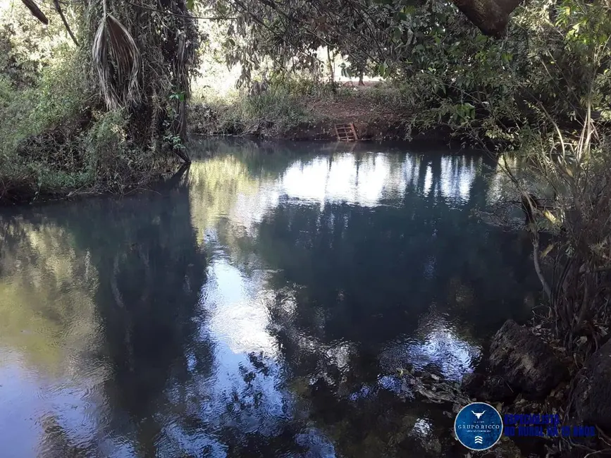 Chácara à venda em Santa Helena De Goias - GO - imagem 8 Foto 8 de Chácara à venda em Santa Helena De Goias - GO
