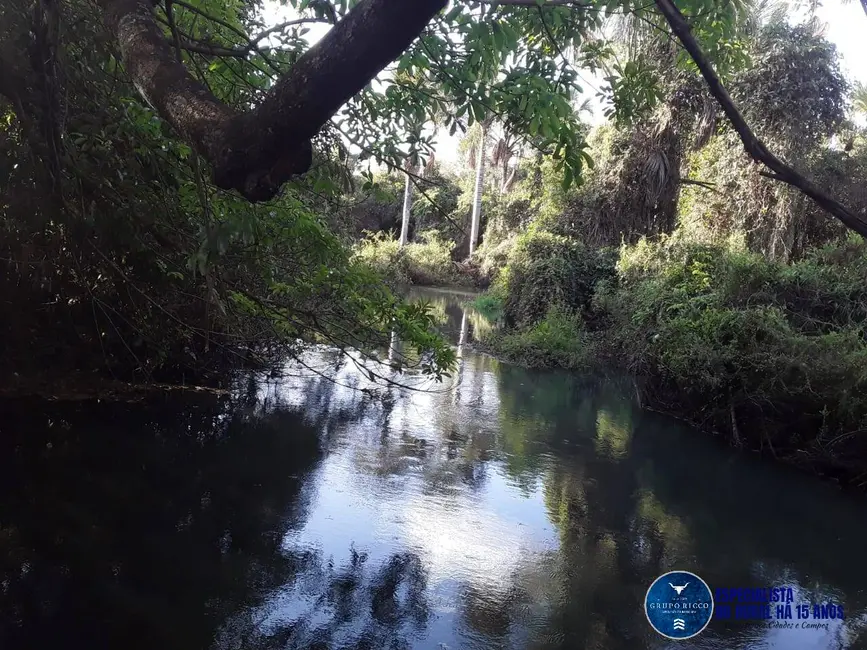 Chácara à venda em Santa Helena De Goias - GO - imagem 4 Foto 4 de Chácara à venda em Santa Helena De Goias - GO