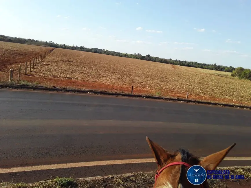 Chácara à venda em Santa Helena De Goias - GO - imagem 6 Foto 6 de Chácara à venda em Santa Helena De Goias - GO