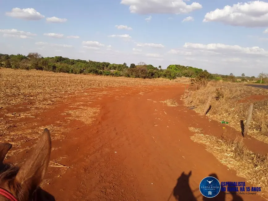 Chácara à venda em Santa Helena De Goias - GO - imagem 3 Foto 3 de Chácara à venda em Santa Helena De Goias - GO