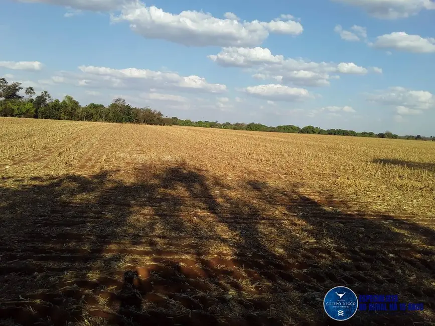 Chácara à venda em Santa Helena De Goias - GO - imagem 9 Foto 9 de Chácara à venda em Santa Helena De Goias - GO