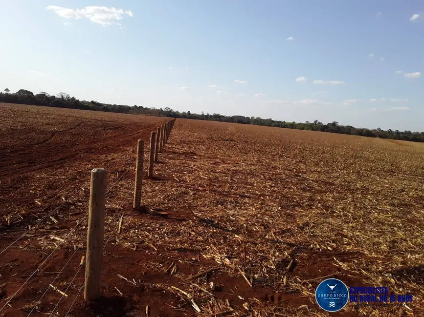 Chácara à venda em Santa Helena De Goias - GO - imagem 7 Foto 7 de Chácara à venda em Santa Helena De Goias - GO