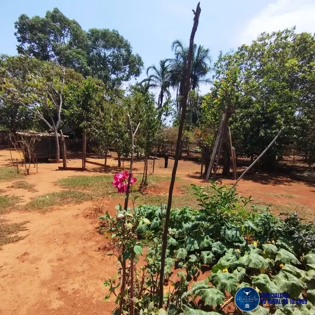 Foto 8 de Chácara com 3 quartos à venda, 5000m2 em Aragoiania - GO