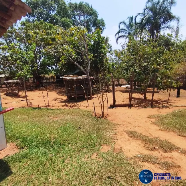 Foto 9 de Chácara com 3 quartos à venda, 5000m2 em Aragoiania - GO