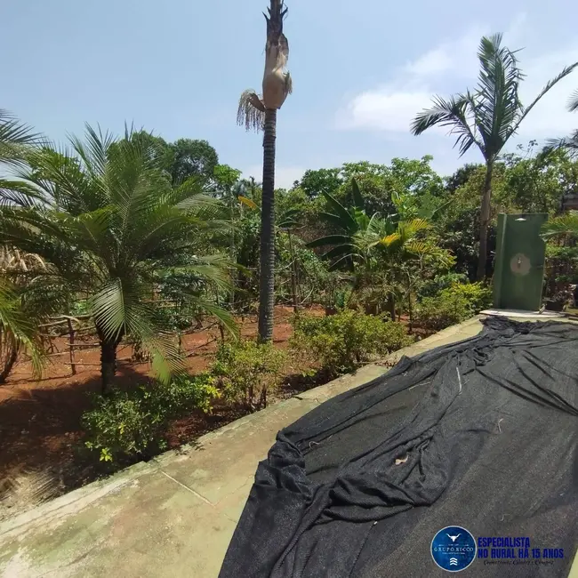 Foto 7 de Chácara com 3 quartos à venda, 5000m2 em Aragoiania - GO