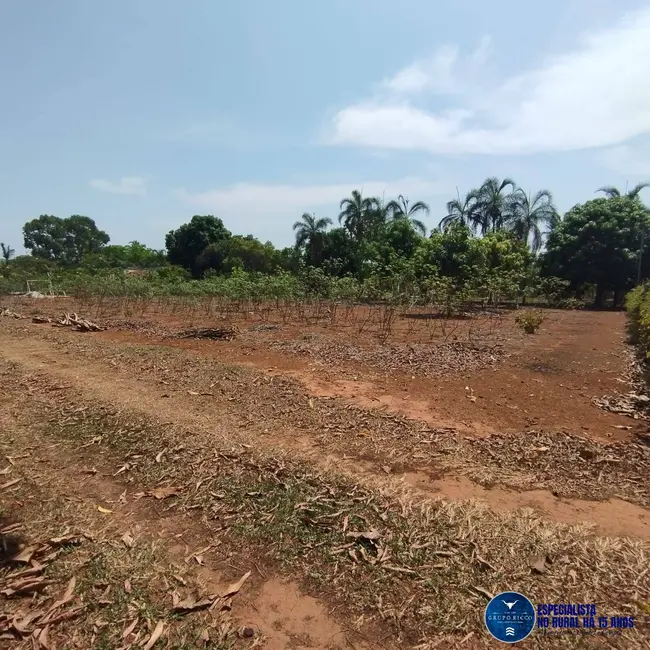 Foto 5 de Chácara com 3 quartos à venda, 5000m2 em Aragoiania - GO