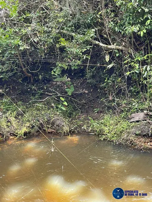 Foto 9 de Chácara com 5 quartos à venda em Aragoiania - GO