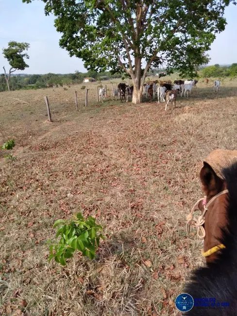 Foto 5 de Fazenda / Haras à venda, 30m2 em Montes Claros De Goias - GO