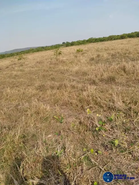 Foto 6 de Fazenda / Haras à venda, 30m2 em Montes Claros De Goias - GO