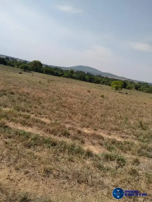 Foto 4 de Fazenda / Haras à venda, 30m2 em Montes Claros De Goias - GO