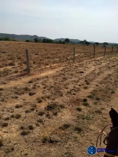 Foto 7 de Fazenda / Haras à venda, 30m2 em Montes Claros De Goias - GO