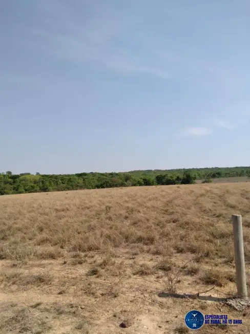 Foto 2 de Fazenda / Haras à venda, 30m2 em Montes Claros De Goias - GO