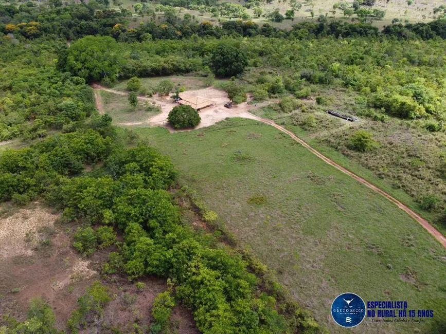 Foto 2 de Fazenda / Haras à venda, 245m2 em Palmeirante - TO