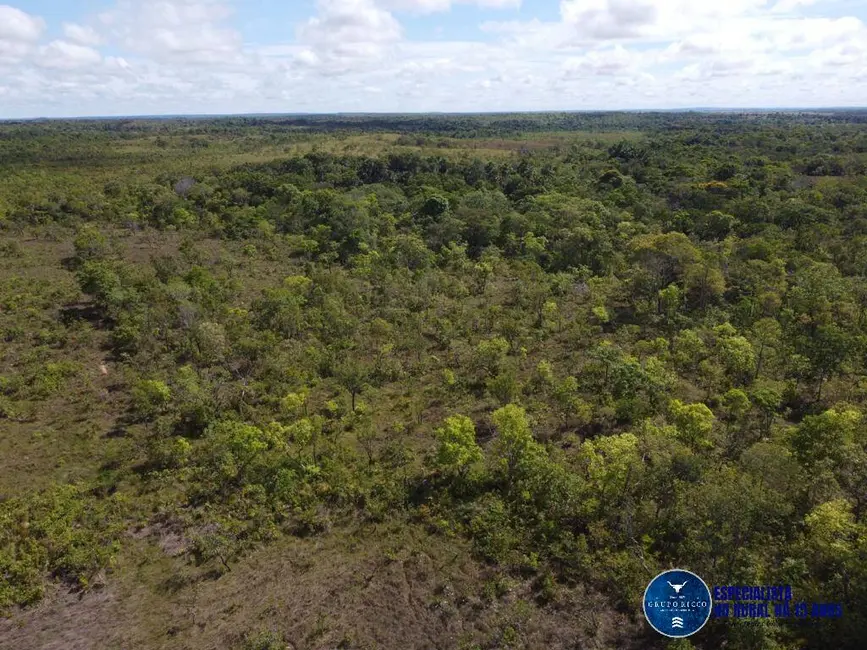 Foto 6 de Fazenda / Haras à venda, 245m2 em Palmeirante - TO