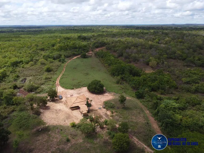 Foto 1 de Fazenda / Haras à venda, 245m2 em Palmeirante - TO