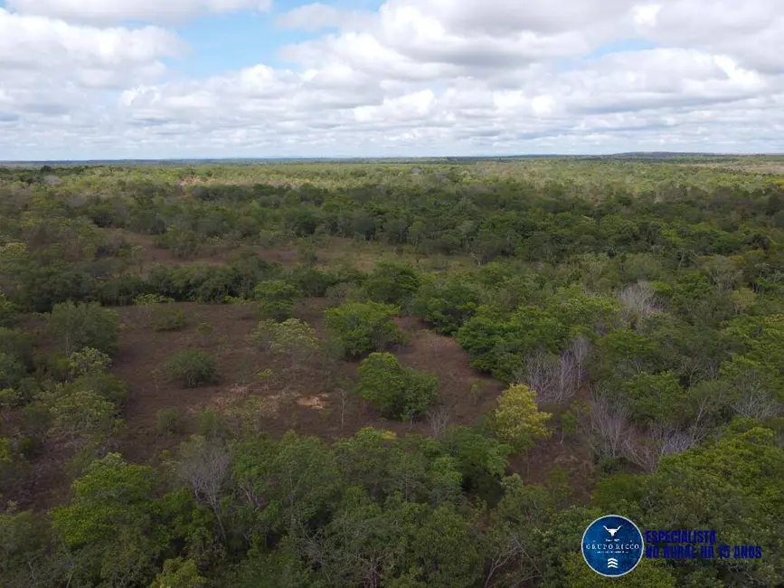 Foto 4 de Fazenda / Haras à venda, 245m2 em Palmeirante - TO