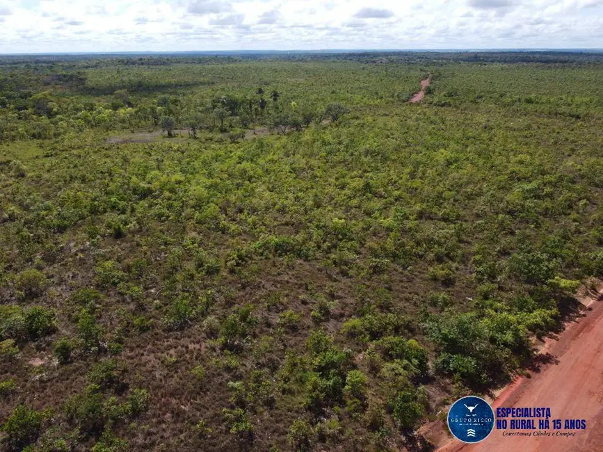 Foto 5 de Fazenda / Haras à venda, 245m2 em Palmeirante - TO