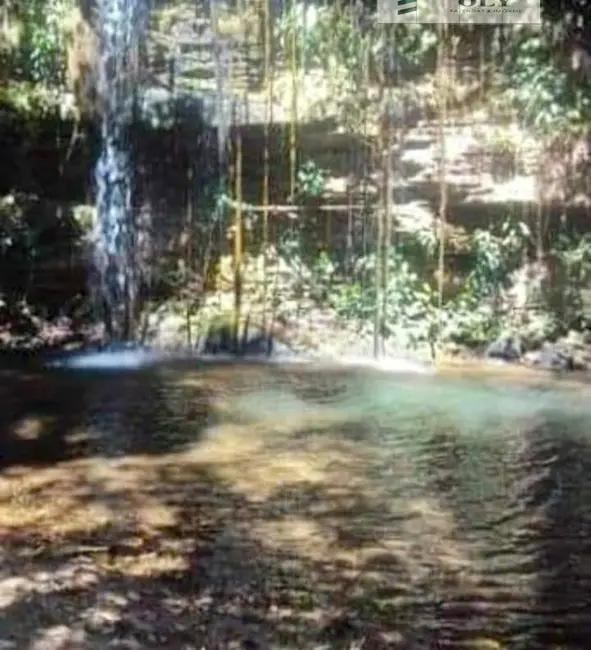 Foto 2 de Fazenda / Haras à venda, 61m2 em Palestina De Goias - GO