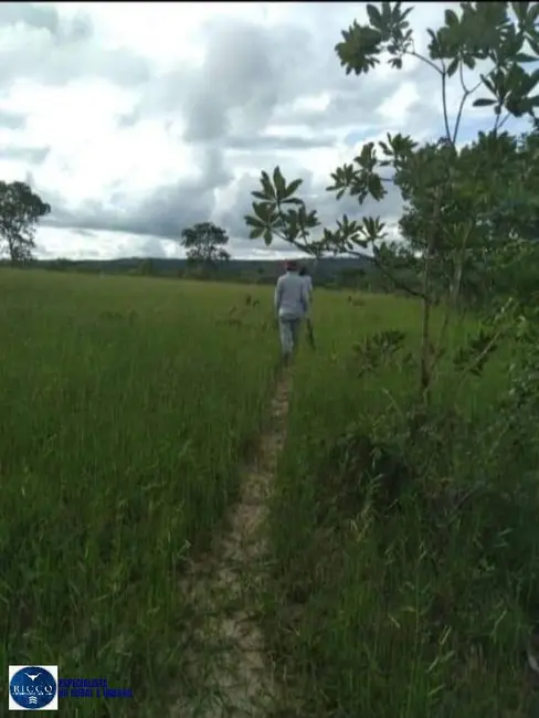 Foto 5 de Fazenda / Haras à venda, 61m2 em Palestina De Goias - GO