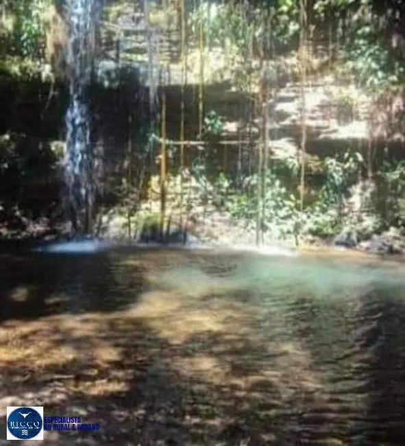 Foto 2 de Fazenda / Haras à venda, 61m2 em Palestina De Goias - GO