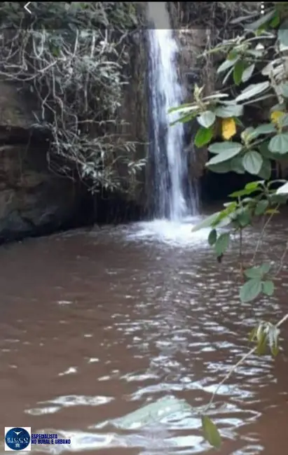 Foto 1 de Fazenda / Haras à venda, 61m2 em Palestina De Goias - GO