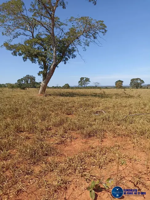 Foto 7 de Fazenda / Haras com 3 quartos à venda, 50m2 em Jaupaci - GO