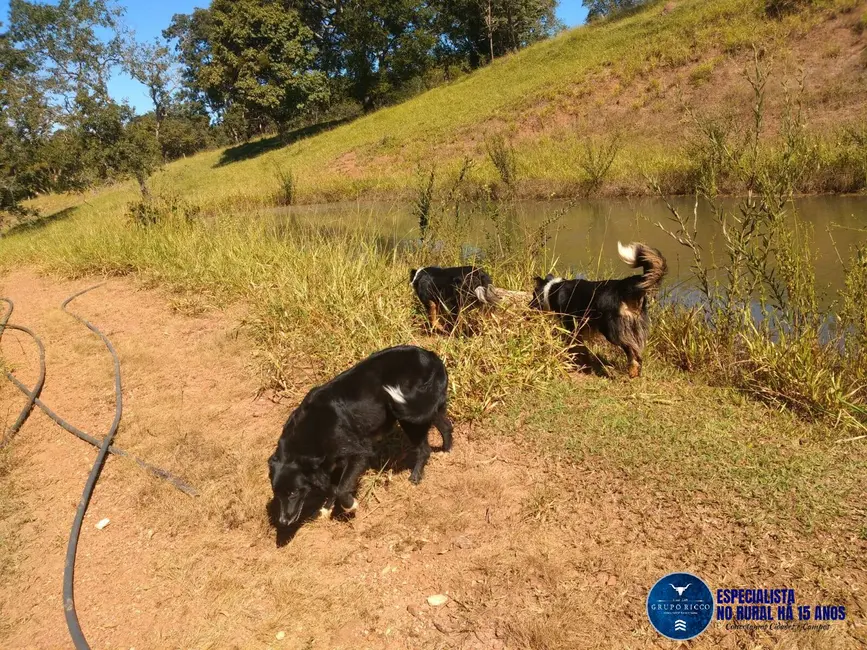Foto 1 de Chácara à venda, 13m2 em Ivolandia - GO