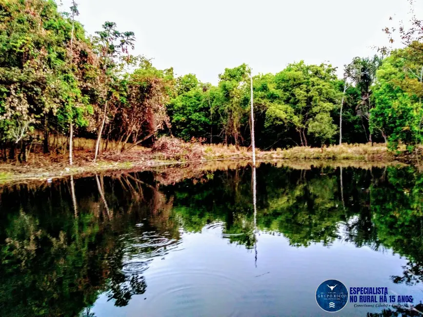 Foto 2 de Chácara à venda, 13m2 em Ivolandia - GO