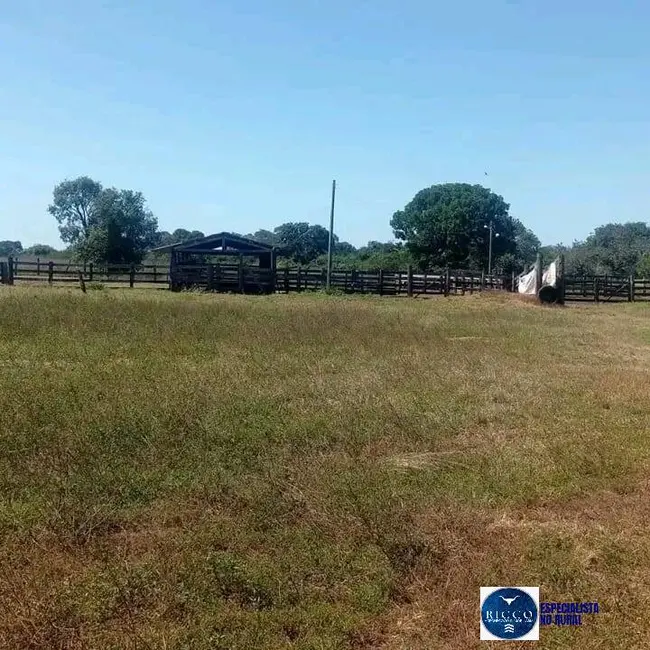 Foto 2 de Fazenda / Haras com 1 quarto à venda, 1880m2 em Formoso Do Araguaia - TO