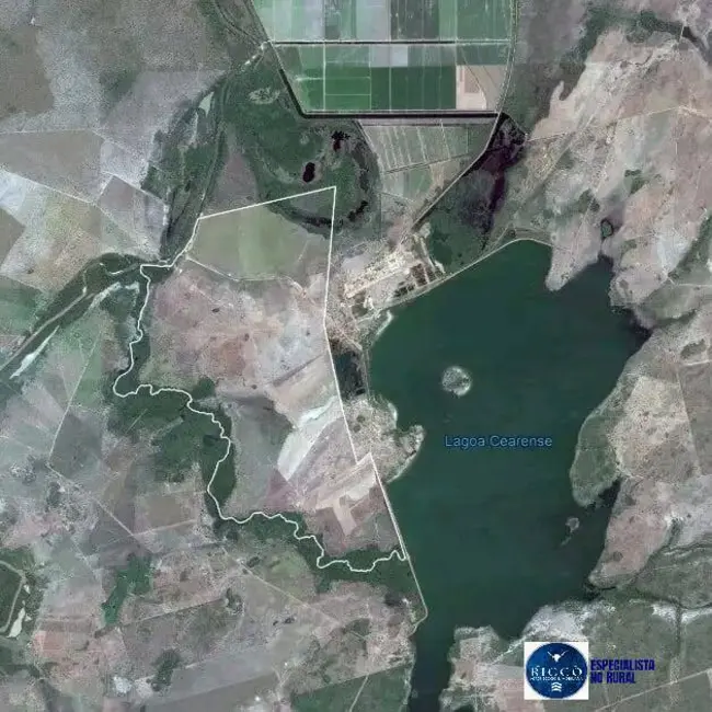 Foto 4 de Fazenda / Haras com 1 quarto à venda, 1880m2 em Formoso Do Araguaia - TO