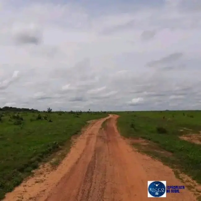 Foto 7 de Fazenda / Haras com 1 quarto à venda, 1880m2 em Formoso Do Araguaia - TO