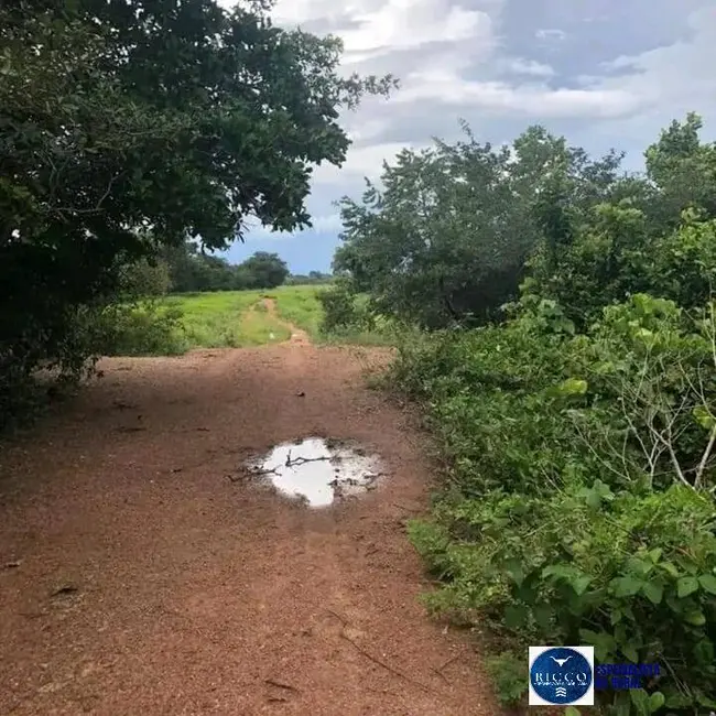 Foto 5 de Fazenda / Haras com 1 quarto à venda, 1880m2 em Formoso Do Araguaia - TO