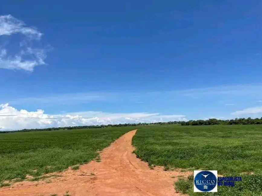 Foto 8 de Fazenda / Haras com 1 quarto à venda, 1880m2 em Formoso Do Araguaia - TO