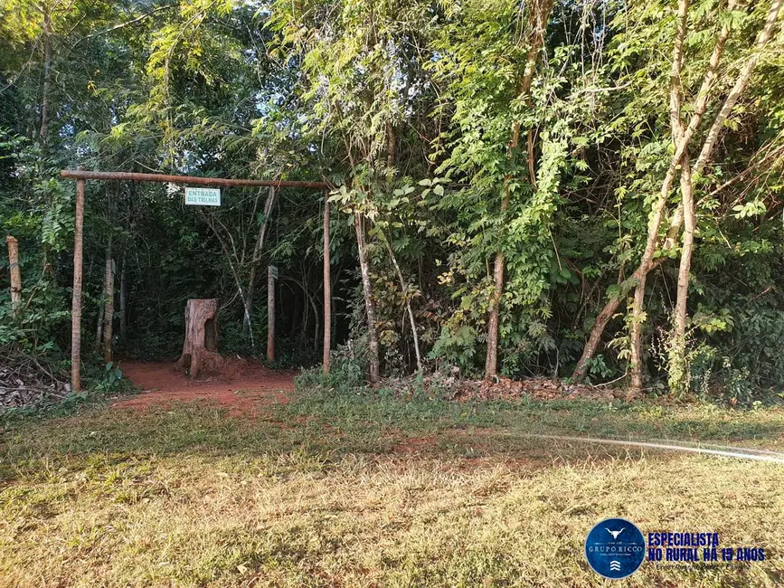 Foto 3 de Terreno / Lote à venda, 1500m2 em Trindade - GO