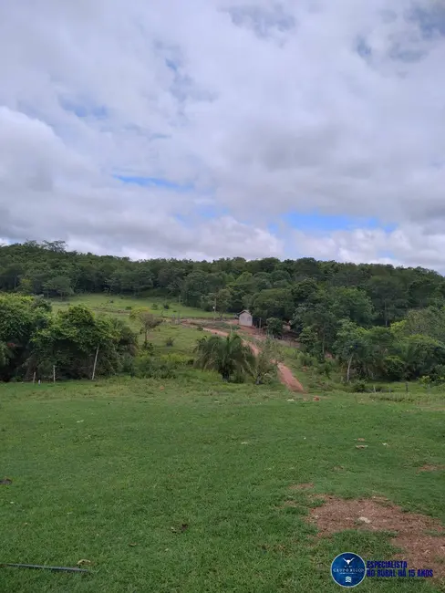 Foto 2 de Fazenda / Haras à venda, 30m2 em Sanclerlandia - GO