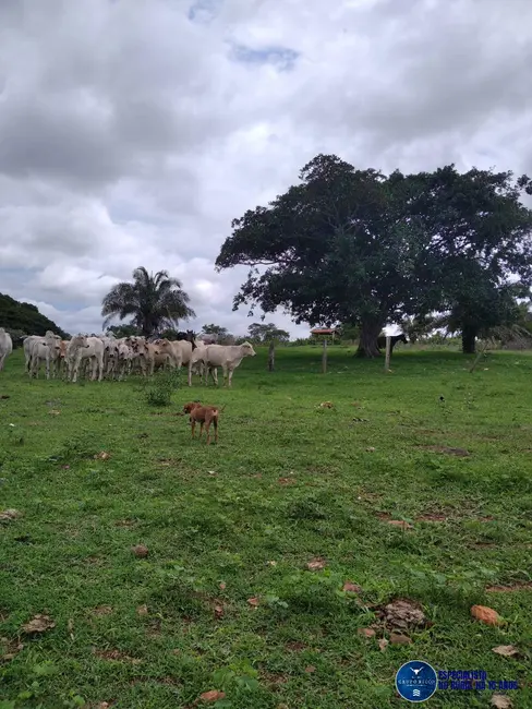 Foto 3 de Fazenda / Haras à venda, 30m2 em Sanclerlandia - GO