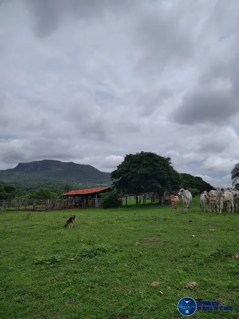 Foto 1 de Fazenda / Haras à venda, 30m2 em Sanclerlandia - GO