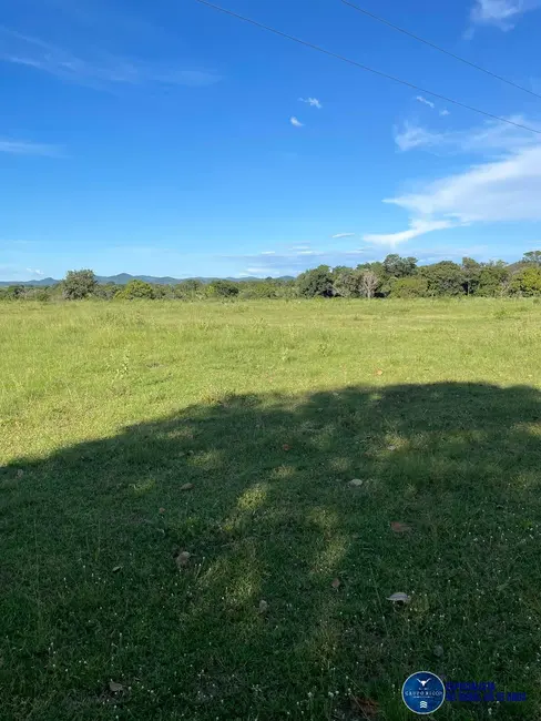 Foto 3 de Fazenda / Haras à venda, 136m2 em Crixas - GO