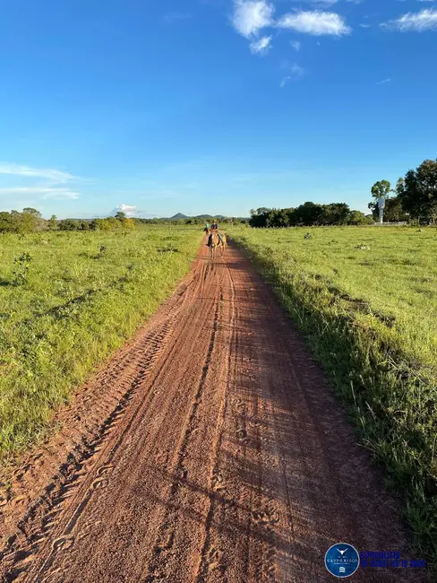 Foto 1 de Fazenda / Haras à venda, 136m2 em Crixas - GO