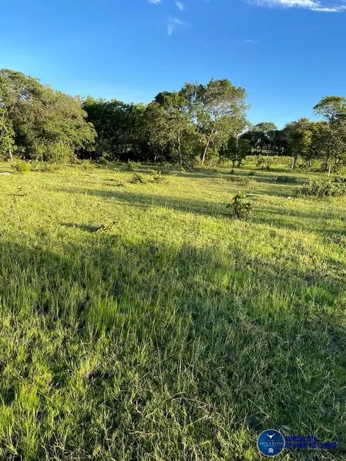 Foto 7 de Fazenda / Haras à venda, 136m2 em Crixas - GO