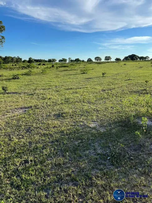 Foto 9 de Fazenda / Haras à venda, 136m2 em Crixas - GO