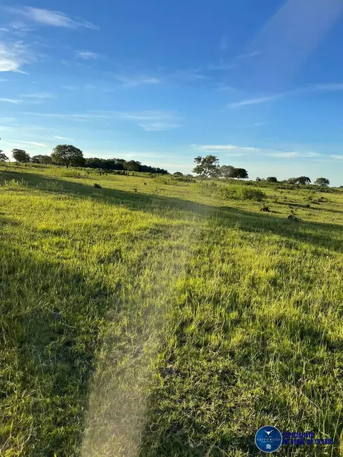 Foto 2 de Fazenda / Haras à venda, 136m2 em Crixas - GO