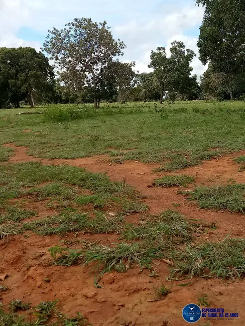 Foto 2 de Fazenda / Haras à venda, 61m2 em Montes Claros De Goias - GO