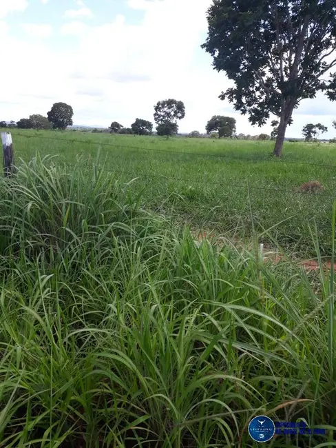 Foto 5 de Fazenda / Haras à venda, 83m2 em Porangatu - GO
