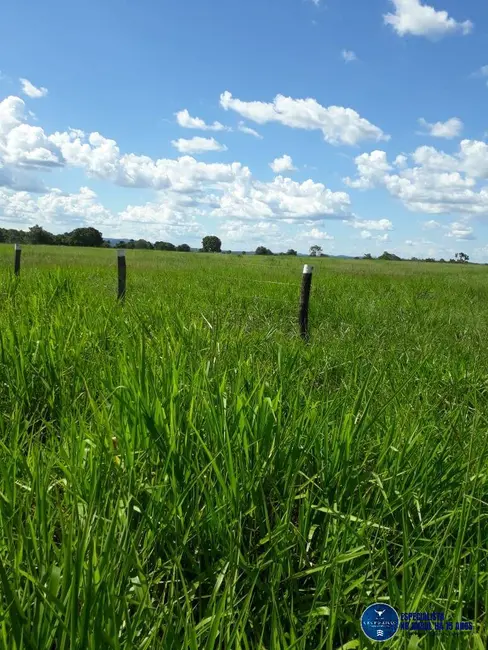 Foto 1 de Fazenda / Haras à venda, 83m2 em Porangatu - GO
