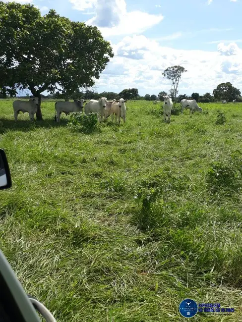 Foto 3 de Fazenda / Haras à venda, 83m2 em Porangatu - GO